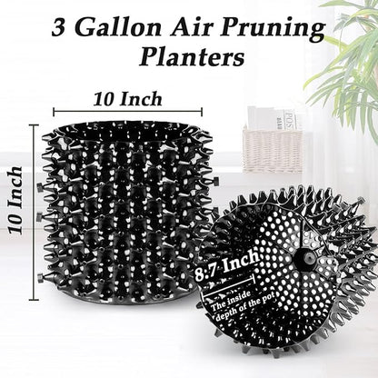 RooTrimmer 3 Gallon Air Pruning Container New Plastic Nursery Pot Fruit Vegetable Garden self-Planting pots, Size 10"x10", Black