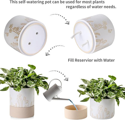Nihow Self Watering Pots for Indoor Plants,6 Inch,White & Nature | Hand Painting,Ceramic Planter, Drainage Hole & Water Storage Plus, Cylinder Round Flower Pot, For Succulent/Herbs/Violets