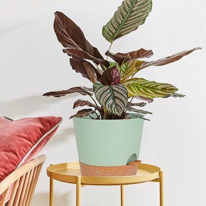 SwinDuck 12inch Large Self Watering Plant Pot, Plastic Cylinder Planter with 60Oz Deep Reservoir and Saucer for Indoor Outdoor Plants Flowers Houseplants, Green with Brown