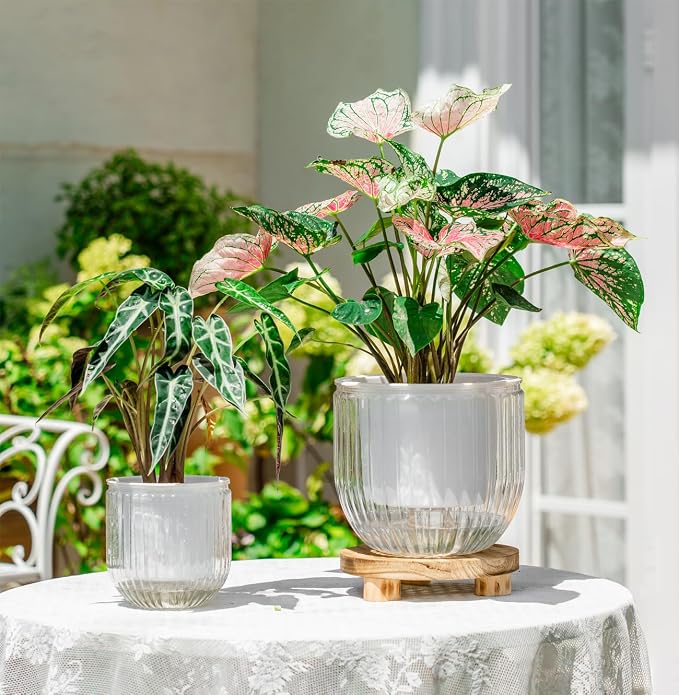 Melphoe Self Watering Pots for Indoor Plants Planter, 8.3/5.3 Inch 2 Pack Planters Self Watering Plant Pots for Flower, Houseplants, Succulent, African Violets and Cactus with Drainage