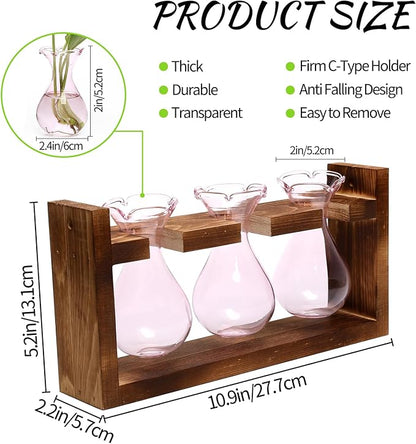 Plant Propagation Station Plant Terrarium Unique Birthday Gifts for Women | Plant Lovers Home Office Decor Planter with Wooden Stand - 3 Bulb Glass Vase