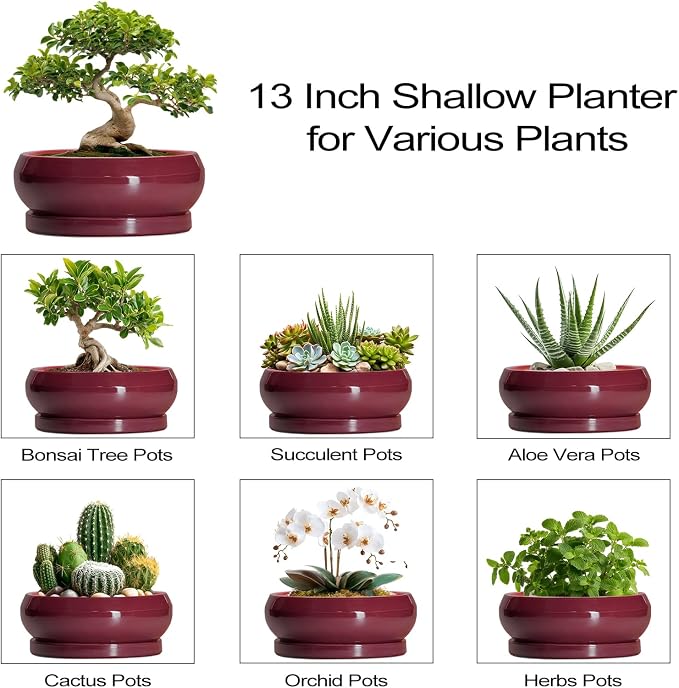 Bonsai Tree Pots 13 Inch - Ceramic Bonsai Pots with Drainage Hole and Tray, Large Succulent Planters Indoor, Round Bowl Planter Outdoor, Shallow Planter, House Decor, Birthday Gifts, Wine Red