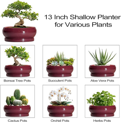 Bonsai Tree Pots 13 Inch - Ceramic Bonsai Pots with Drainage Hole and Tray, Large Succulent Planters Indoor, Round Bowl Planter Outdoor, Shallow Planter, House Decor, Birthday Gifts, Wine Red