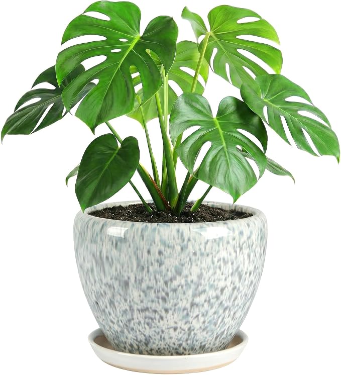 10.2 Inch Ceramic Planter with Saucer Leak-Proof Mesh &Drainage, Round Plant Pot with Gardening Gloves for Indoor Outdoor Plants (Blue Crackle Glaze)
