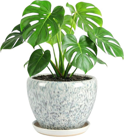 10.2 Inch Ceramic Planter with Saucer Leak-Proof Mesh &Drainage, Round Plant Pot with Gardening Gloves for Indoor Outdoor Plants (Blue Crackle Glaze)
