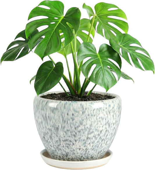 10.2 Inch Ceramic Planter with Saucer Leak-Proof Mesh &Drainage, Round Plant Pot with Gardening Gloves for Indoor Outdoor Plants (Blue Crackle Glaze)