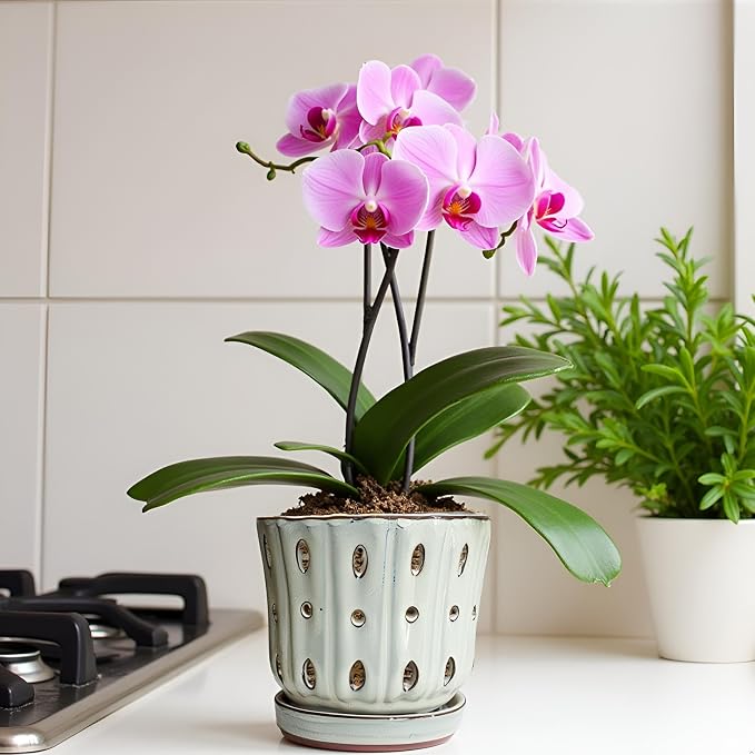 Orchid Pots 4.9 inch Ceramic Orchid Pots with Holes Set of 2 (mossgreen+White)