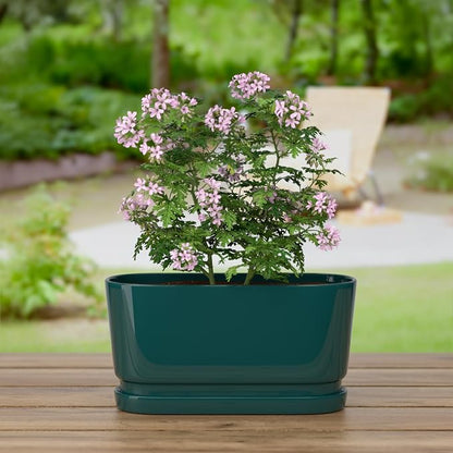 13" Rectangular Ceramic Planter with Drainage and Saucer, Green | Indoor Outdoor Use, 13"L x 5.5"W x 6.3"H, Modern Home Decor, Window Box Planter, Green Glossy Finish