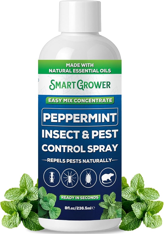 Peppermint Insect & Pest Control Best Value Concentrate - Repels Insects & Pests for Home, Indoor, Outdoor, Garden - Maximum Strength Concentrate (Makes One Gallon RTU) 8 oz