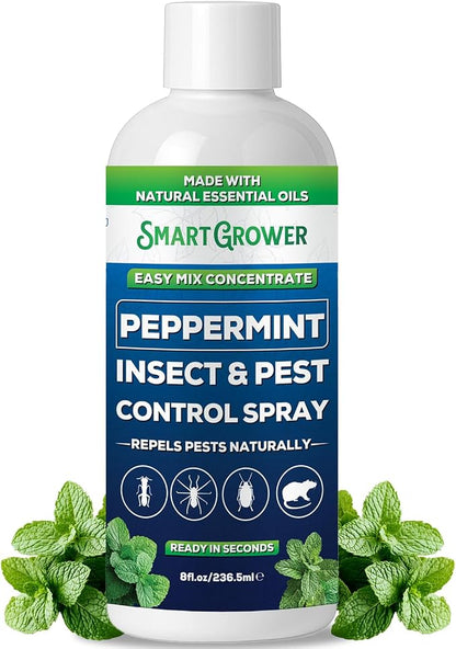 Peppermint Insect & Pest Control Best Value Concentrate - Repels Insects & Pests for Home, Indoor, Outdoor, Garden - Maximum Strength Concentrate (Makes One Gallon RTU) 8 oz