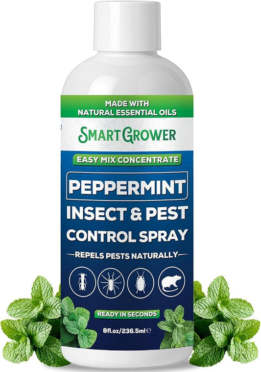 Peppermint Insect & Pest Control Best Value Concentrate - Repels Insects & Pests for Home, Indoor, Outdoor, Garden - Maximum Strength Concentrate (Makes One Gallon RTU) 8 oz