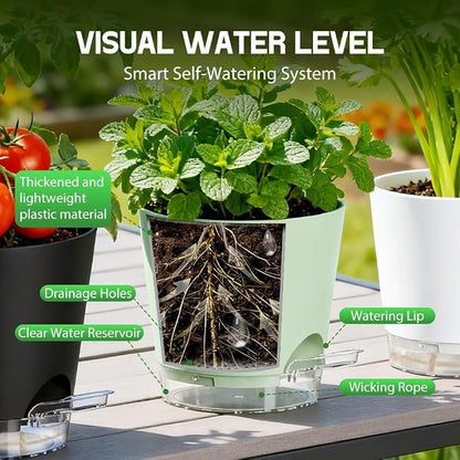 Self Watering Pots for Plants, 2026 New Flower Plant Pots with Drainage Holes, Wicking and Clear Reservoirs for Succulent, Aloe, Cacti and Others - 6 Pack (Colorful, 4")
