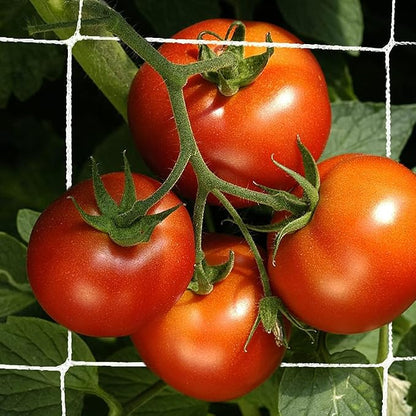 Trellis Netting, CANAGROW Heavy-Duty Garden Plant Trellis Netting for Climbing Plants, Outdoor Indoor Grow Net for Beans Tomatoes Peas Pumpkin Flowers, 𝟔 𝐱 𝟏𝟓𝐟𝐭, Pack of 4