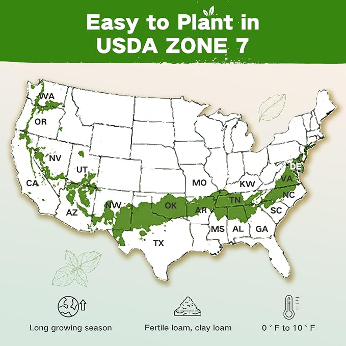 Year-Round Zone 7 Seed Bank, Gift for Mom Dad, 32 Varieties Heirloom Seeds | 30,000+ Non-GMO Vegetable Herb Flower Seeds, Gardening Gifts for Women Men, Survival Seed Kit, Raised Garden Beds Greenhouses