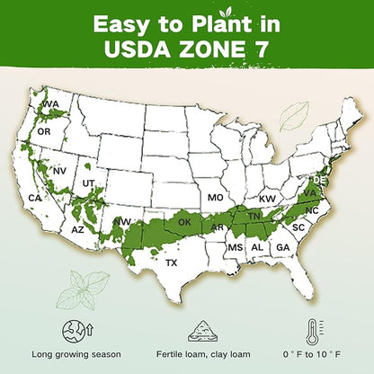 Year-Round Zone 7 Seed Bank, Gift for Mom Dad, 32 Varieties Heirloom Seeds | 30,000+ Non-GMO Vegetable Herb Flower Seeds, Gardening Gifts for Women Men, Survival Seed Kit, Raised Garden Beds Greenhouses
