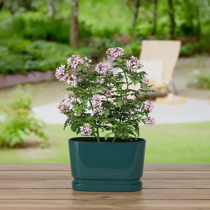 8.9" Rectangular Ceramic Planter with Drainage and Saucer, Green | Indoor Outdoor Use, 8.9"L x 4.5"W x 5.3"H, Modern Home Decor, Window Box Planter, Green Glossy Finish