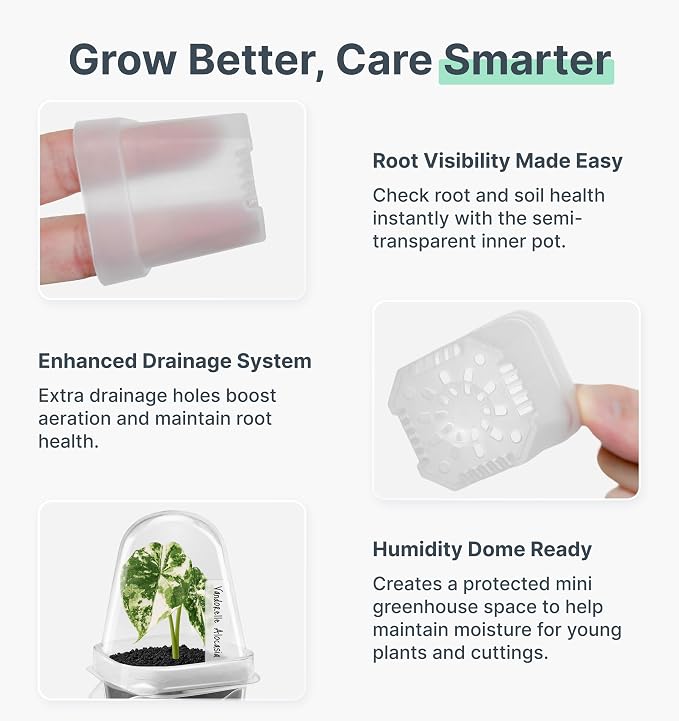 12 Pack 2" Small Clear Self Watering Pots with Humidity Dome for Indoor Plants, Seed Starter Cups, Tissue Culture Acclimation Kit,Alocasia Corm Propagation,African Violet,Cuttings,Seedlings
