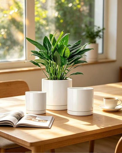 vancasso Ceramic Plant Pots, 3 Piece Planters for Indoor Plants, 4.25+5.25+6.25 Inch Flower Pots with Drainage, Plant Pots Indoor for Succulent, Pothos, Snake Plant and Money Tree, Etc (White)