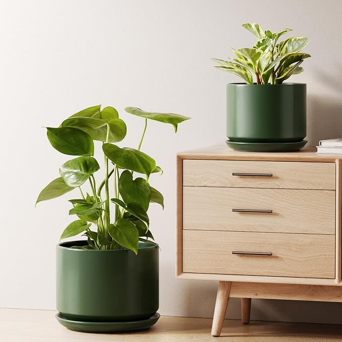 LE TAUCI Ceramic Plant Pots, Set of 2, 8+10 Inch Plant Pots Indoor with Drainage Hole & Saucer, Sturdy Planters for Indoor Plants, Modern Minimalist Decor for Snake Plant, Monstera, Green