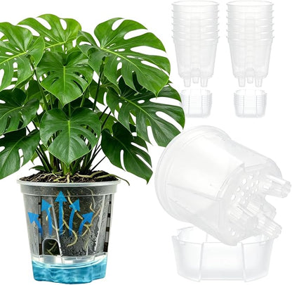 Cdd's Path 6 Inch Clear Self Watering Pots Set, 12 Pack Naked Root Planter with Deep Water Tank, Large Drainage Holes, Reservoir & Air Pipes for Indoor Outdoor Plants, Flowers, Seedlings