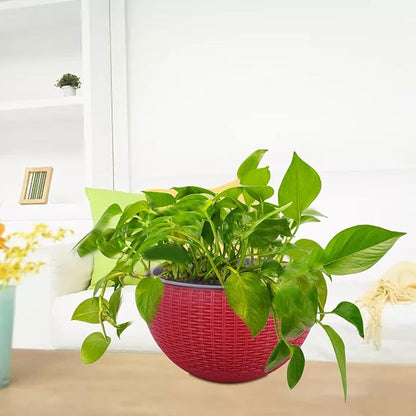 Vencer 11 Inch Round Resin Rattan Hanging Planters,Red,VF-A15-R | Self Watering,Drain Hole,Metal Chain,Water Indicator,Indoor Outdoor