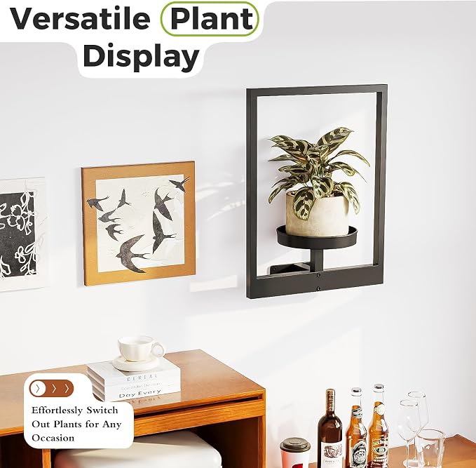 Bamworld Plant Stand Indoor Wall Decor Metal Plant Hanger Indoor Hanging Plant Holder Wall-Mounted Planters Outdoor Plant Rack Black 1 Pack (Patent Design)