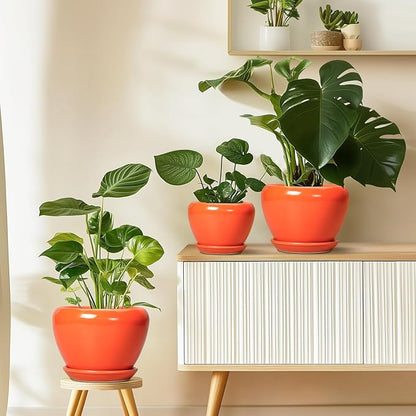 Ceramicfor Ceramic Plant Pot 6 Inch - Ceramic Planter for Indoor Plants Outdoor, Glaze Round Modern Flower Pot with Drainage Hole and Saucer, Gift for Plant Lover, Home Garden Room Decor, Orange