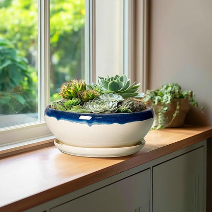 SQOWL Bonsai Pots, 10 Inch Ceramic Pots for Succulents, Blue-Beige | Shallow Planter with Drainage Hole and Saucer, Round Succulent Planters Bowl, Kitchen Decor, Housewarming Gifts