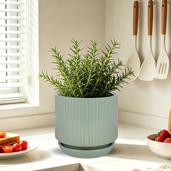 Ceramic-5-inch-Flower-Pots-with-Saucer, Small Planters for Indoor Plants with Drainage Hole, White Textured Vertical Stripe Plant Pots for Home Decor, Garden Pot For Succulent Cactus Mint Basil Herb