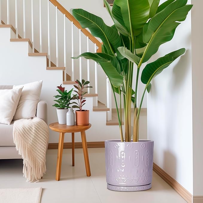 Eightpot Ceramic Plant Pots, 12 Inch Pots for Plants Indoor Outdoor, Round Planter with Drainage Hole and Tray, Modern Decorative Flower Pot, Home Apartment Decor, House Warming Gifts, Purple