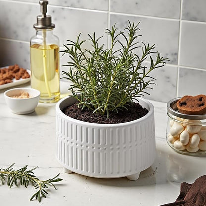 OXART Ceramic Plant Pots Indoor Pot Set with Drainage Holes, 12/9.6/8/inch Ceramic Planters Pots for Plants, Large Flower Pot for Plants Lilies, Cacti, Succulents, Snakes, and Pothos, White