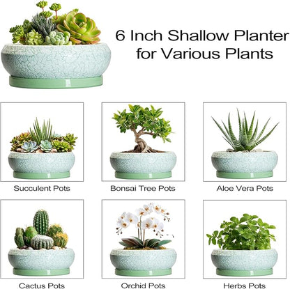 Succulent Pot 6 Inch - Ceramic Bonsai Pots Indoor Outdoor, Shallow Plant Pots with Drainage Hole and Saucer, Small Bonsai Planter, Round Bowl Planter, Desk Decor, Housewarming Gifts, Green