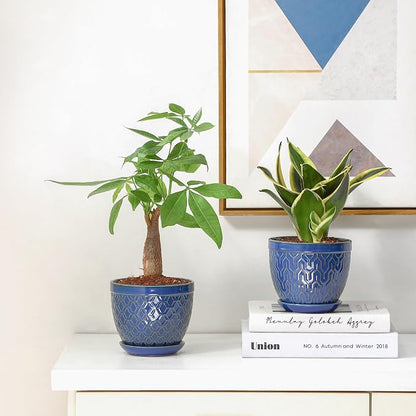 Sureasy Ceramic Indoor Plant Pots - 5.6 Inch Flower Pots for Plants with Drainage Hole and Saucer, Embossed Planter for Succulents, Orchid, Cactus, Indoor Home Decor, Set of 4, Blue