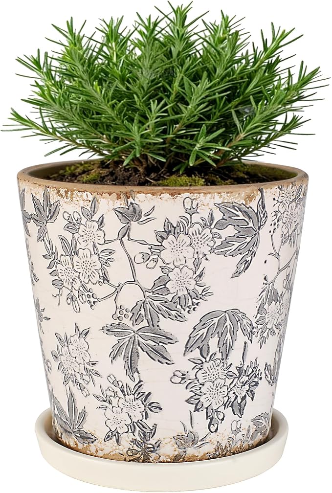 Ceramic Flower Pots For Indoor Plant, 5.5 Inch Small Ice Crack Plant Pots With Drainage Hole & Saucer, Decorative Vintage Planters For Succulent Herb Cactus Mint Basil, Garden Pot For Home Decor