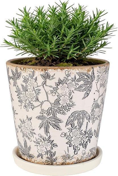 Ceramic Flower Pots For Indoor Plant, 5.5 Inch Small Ice Crack Plant Pots With Drainage Hole & Saucer, Decorative Vintage Planters For Succulent Herb Cactus Mint Basil, Garden Pot For Home Decor