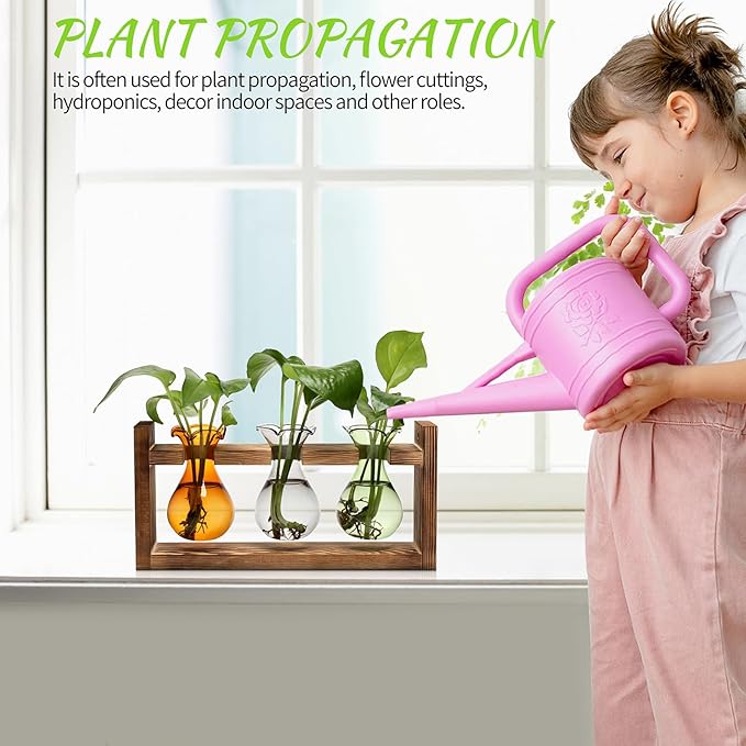 Plant Propagation Station Plant Terrarium Unique Birthday Gifts for Women | Plant Lovers Home Office Decor Planter with Wooden Stand - 3 Bulb Glass Vase