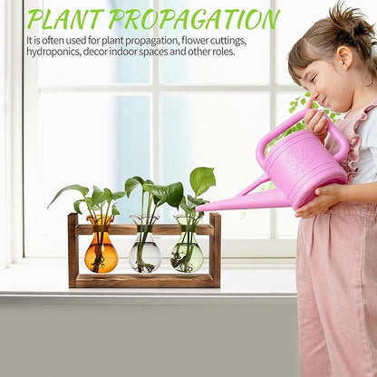 Plant Propagation Station Plant Terrarium Unique Birthday Gifts for Women | Plant Lovers Home Office Decor Planter with Wooden Stand - 3 Bulb Glass Vase