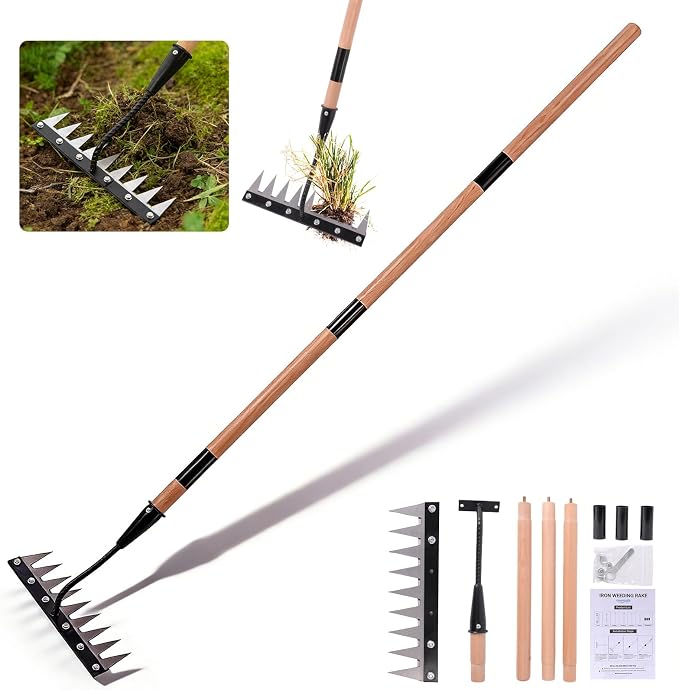 Gardenia 9-Tine Iron Weeding Rake, Heavy Duty Weed Puller for Garden Soil | Carbon Steel, 3 Adjustable Wooden Handle Lengths 31"-63", for Lawn, Yard & Farm Weeding, Soil Loosening, Debris Clearing
