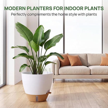Ecolley Self-Watering Pots for Indoor Plants 3 Pack, 8/10/12 Inch Outdoor Planters with Water Level Indicator & Deep Reservoir, Decorative Flower Pots for Home Decor (White, 8+10+12 Inch) | Water Level Indicator, Deep Reservoir, Outdoor Planters, Decor...