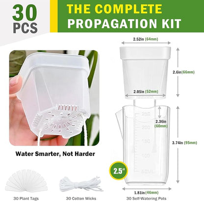 30 Pack 2.5" Small Self Watering Pots for Indoor Plants with 30 Plant Label Mini Clear Plastic Planters with Water Level and Drainage Holes for Propagation, Succulents, and African Violet