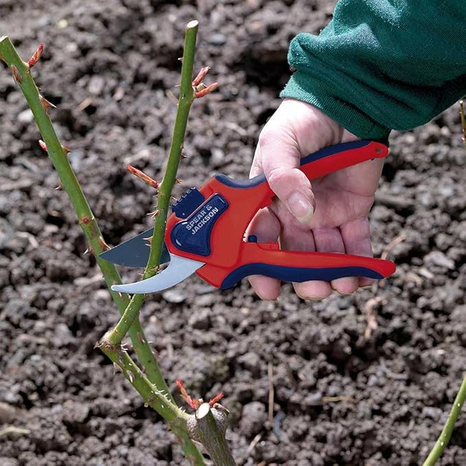 Spear & Jackson 6059BS Razorsharp Advantage Medium Bypass Pruning Shears