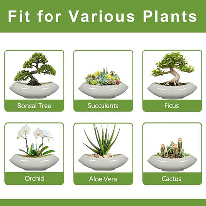 Bonsai Pots 18 Inch - Ceramic Succulent Pots with Drainage Hole Decorative Plant Pot Indoor Large Outdoor Planter Modern Flower Pot for Home Garden Room Decor Gray