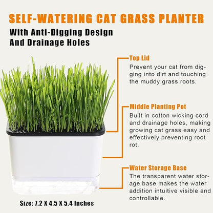 Self-Watering Cat Grass Planter (no Seeds Included) for Indoor Cats | Anti-Digging Design, Built-in Drainage Holes, Suitable for Various Soils, Wheat Grass Growing Pot for Cats Rabbits Pets