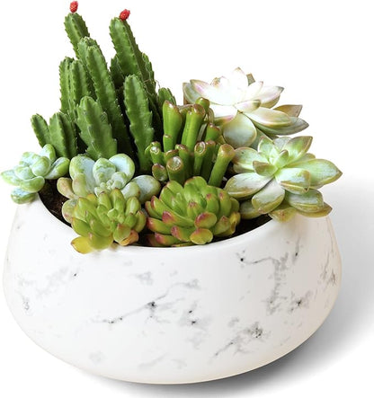 La Jolie Muse Large Succulent Planter Plant Pots, Ceramic Indoor Outdoor Garden Pot W/ Drainage for Plant Flower, 8 Inch, Splash Ink & Sandy Beige