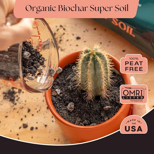 Rosy Soil Cactus & Succulent Potting Mix, 4 Quarts, Pack of 2 | Organic Succulent Potting Soil, Chunky Fast Draining, Peat-Free, Root Boosting Mix, For AloeVera, Cacti, Indoor Succulents