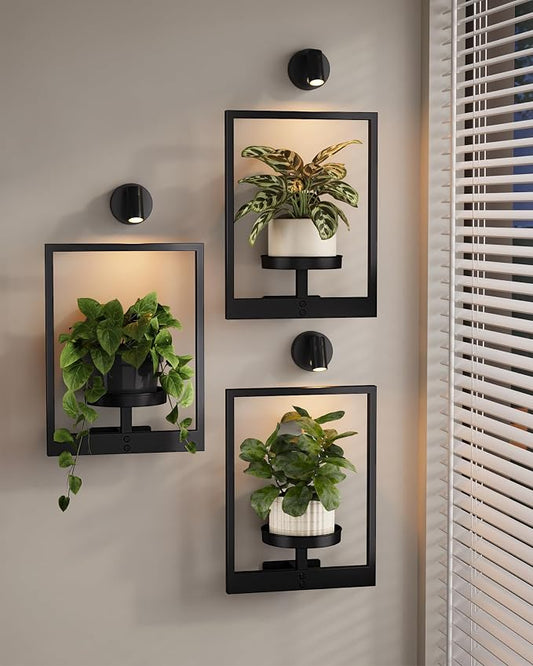 Bamworld Hanging Planters for Indoor Plants Wall Decor Living Room Plant Stand Indoor Wall Planters Plant Hanger Window Plant Shelves 3-Packs with Lights