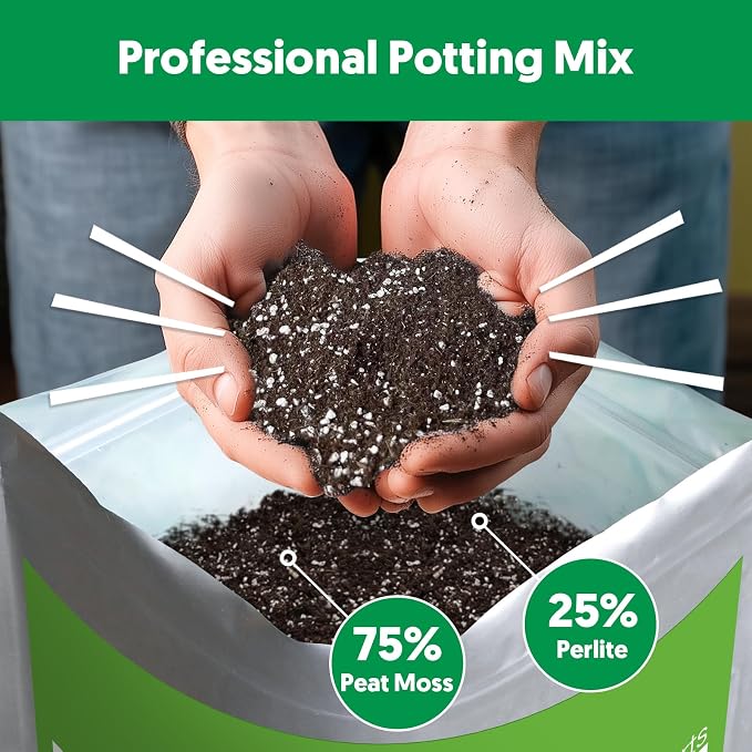 Succulent Cactus Potting Soil Mix (4 qt), All-Purpose Garden Potting Mix for Indoor Outdoor Plants, Quick Drain Houseplant Orchid Bonsai Perlite Soil, Ready-to-Use, Resealable Bag Design