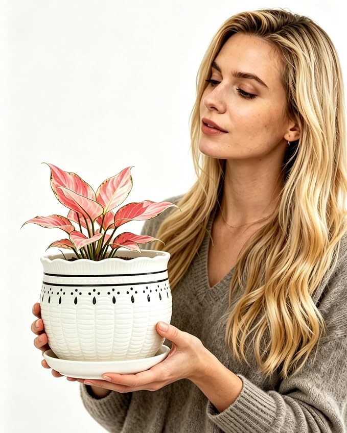 Vintage Flower Pots for Indoor Plant, Round Ceramic Plant Pots with Drainage Holes and Saucers, 6.7/5.2/3.9 Inches Retro Flower Planters Set of 3
