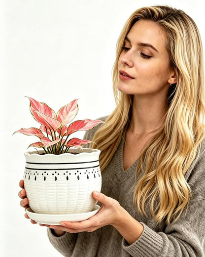 Vintage Flower Pots for Indoor Plant, Round Ceramic Plant Pots with Drainage Holes and Saucers, 6.7/5.2/3.9 Inches Retro Flower Planters Set of 3
