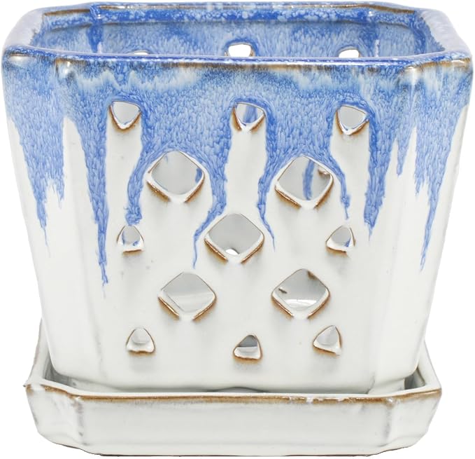 W&W Orchid Pot with Holes and Saucer for Repotting and Better Grow, Blue and White, 7"